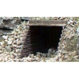  Woodland Scenics C1265 Timber Culverts (2) Toys & Games