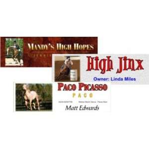  Personalized Horse Stall Signs 4x13