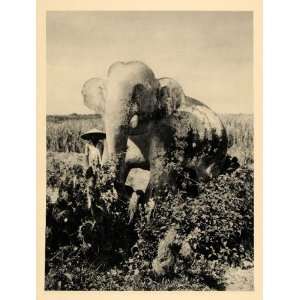  1929 Stone Elephant Sculpture Cha Ban Vietnam Annam Art 