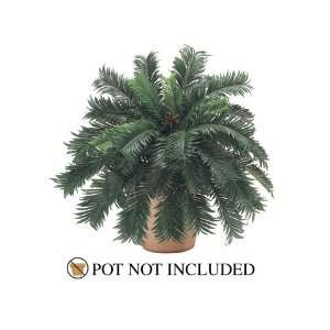  25 Cycas Palm Bush X35 (Pack of 6)