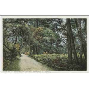  Reprint On the 17 Mile Drive, Monterey, Calif 1898 1931 