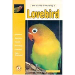  Guide To Owning A Lovebird Guidebook