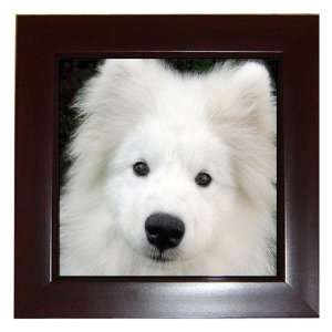  Samoyed Puppy Dog Framed Tile G0760 
