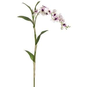  35 Nobile Dendrobium Orchid Spray Cream Purple (Pack of 6 