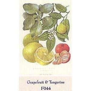  Grapefruit Tangerine By Barbara Nicholson Highest Quality 