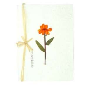  Silver J Pressed flower card, natural dried zinnia 