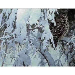  Robert Bateman   Snowy Hemlock Barred Owl