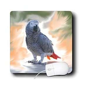  Birds   African Grey Parrot   Mouse Pads Electronics