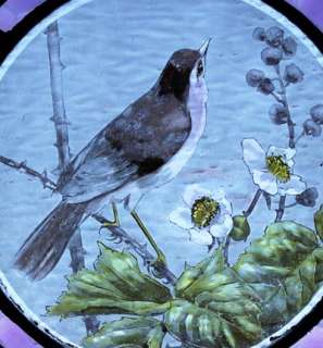 RARE VICTORIAN PAINTED BIRD STAINED GLASS WINDOW  