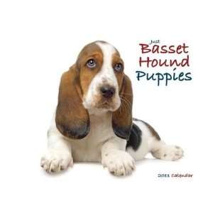  Just Basset Hound Puppies 2011 Wall Calendar By Willow 