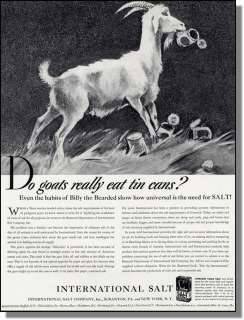 1940 Goat Eating Tin Can   International Salt Print Ad  