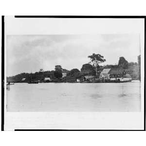   View of Water Street continued,Liberia  Monrovia  1895