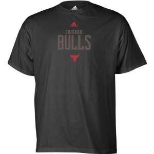 Chicago Bulls Ziggy T Shirt 