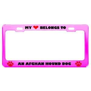  An Afghan Hound Dog Pet Pink Metal License Plate Frame Tag 