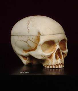 MINATURE SKULL BOX, Gothic or Medieval Style, England  