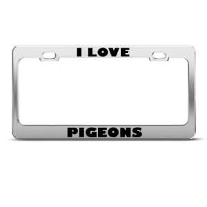  I Love Pigeons Pigeon Bird Animal Metal License Plate 