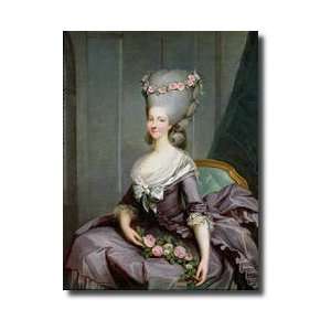  Marietherese De Savoiecarignan 174992 Princess Of Lamballe 