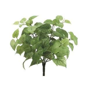  16 Potato Leaf Bush x8 w/76 Lvs. Light Green (Pack of 12 