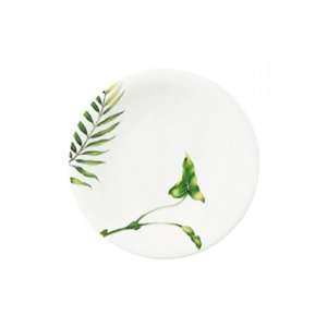 Limoges SD Vegetal by Guy Degrenne   Dessert Plate   8.5 inches 