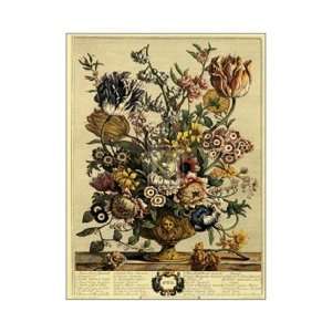  Twelve Months of Flowers, 1730/April by Robert Furber 