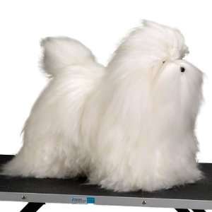   Model Dog with Plastic Feet for Groomers Training, White