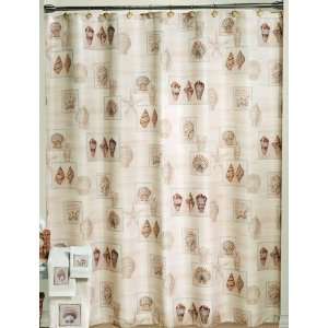 Sarasota Seashells Fabric Shower Curtain