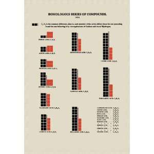   Buyenlarge Homolgous Series of Compounds 24x36 Giclee