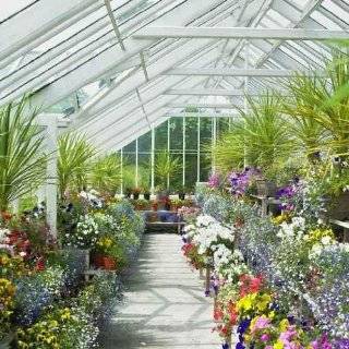 Greenhouse, Birr Castle Gardens, County Offaly, Ireland   18H x 18W 