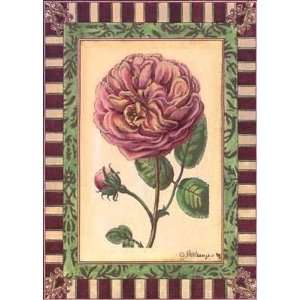  Renaissance Rose II    Print