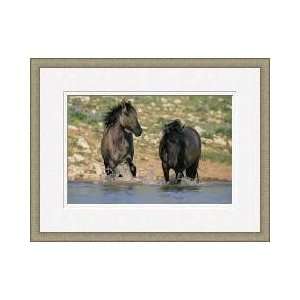  Wild Mustangs Montana Framed Giclee Print