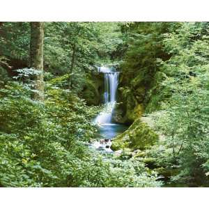  Waterfall in Spring Wall Mural