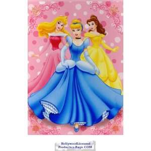    Princess Twin Mink Plush Blanket (Glamour) 