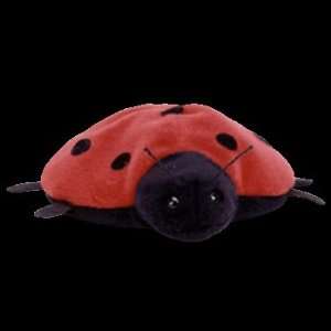  Retired Lucky the Ladybug Ty Beanie Baby Toys & Games