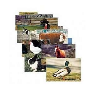  Farm Animal Posters (Set of 10) Toys & Games