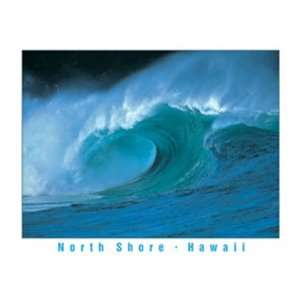 Hawaii North Shore Surfing Poster Print 