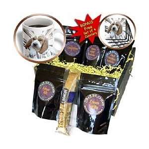Dogs Basset Hound   Basset Hound Puppy   Coffee Gift Baskets   Coffee 