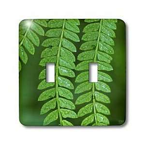  Kike Calvo Panama   Tropical plants   Light Switch Covers 