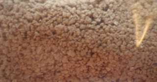 Magic BRF BAGS Brown Rice Flour Mushroom Substrate Grow Bags Better 