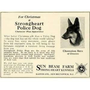  1924 Ad Sun Beam German Shepherd Breeder Police Dogs 