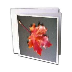  Yves Creations Colorful Leaves   Fiery Orange Feathered 