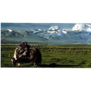  Landscape with Yak by Unknown 36x11