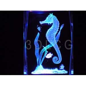  Sea Horse 3D Laser Etched Crystal T 