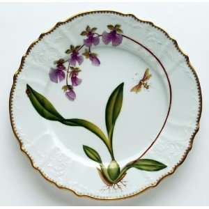  Anna Weatherley Orchid 10.5 In Dinner Plate #6