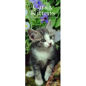  2011 Car Calendars Cats And Kittens   12 Month Slim 