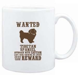   Wanted Tibetan Spaniel   $1000 Cash Reward  Dogs