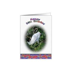    98th Birthday Card with Snowy Egret in Water Card Toys & Games