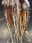 GRIZZLY ROOSTER FEATHERS HAIR EXTENTIONS ROUTE 66 30 100% GENUINE USA
