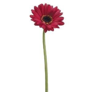  Faux 25 Gerbera Daisy Spray Red (Pack of 12) Beauty