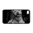 Pitbull Pit bull Apple iPhone 4 or 4s Case / Cover Verizon or At&T 