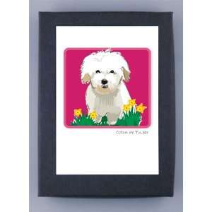  Paper Russells Coton de Tulear Boxed Note Cards   Eco 